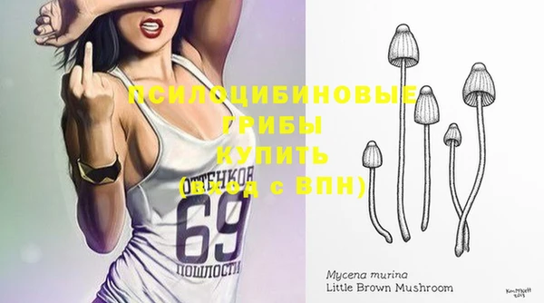 прущие грибы Осинники