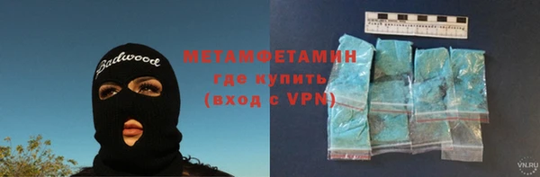 прущие грибы Осинники