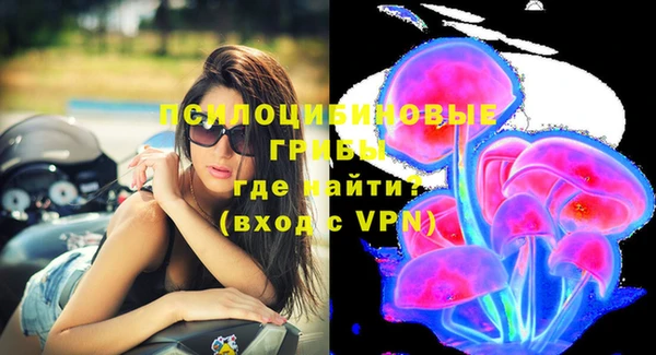марки lsd Нязепетровск