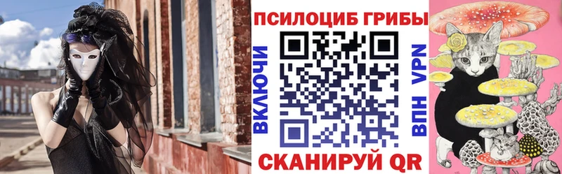 дарк нет клад Обоянь Псилоцибиновые грибы Psilocybine cubensis